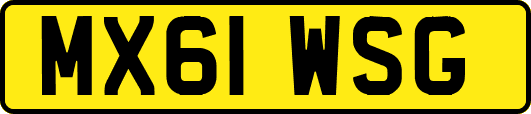 MX61WSG
