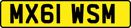 MX61WSM