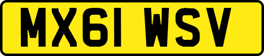 MX61WSV