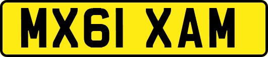 MX61XAM