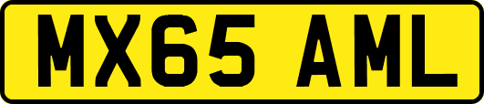 MX65AML