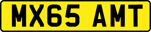 MX65AMT