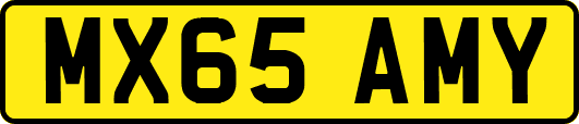MX65AMY