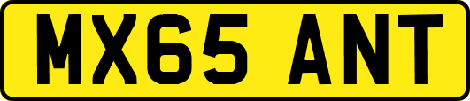 MX65ANT