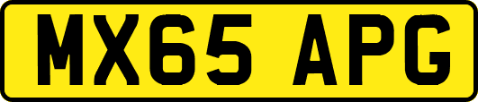 MX65APG