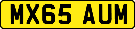 MX65AUM