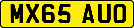 MX65AUO