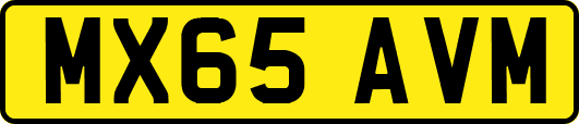 MX65AVM