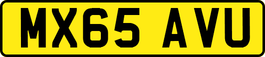 MX65AVU