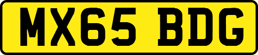 MX65BDG