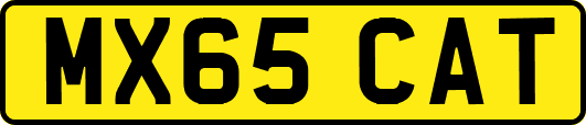 MX65CAT