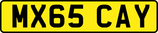 MX65CAY