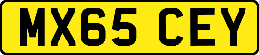 MX65CEY