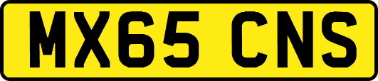 MX65CNS