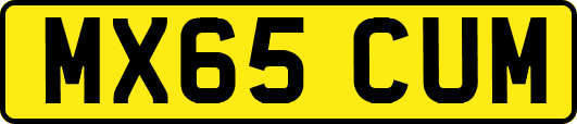 MX65CUM