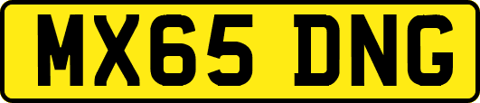 MX65DNG
