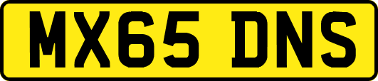 MX65DNS