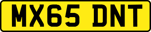 MX65DNT