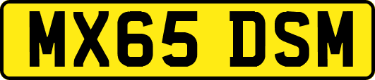 MX65DSM