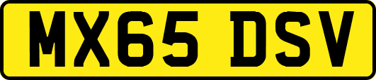 MX65DSV