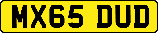 MX65DUD