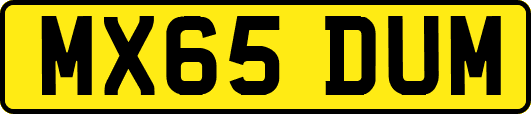MX65DUM