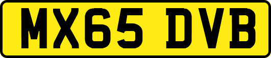MX65DVB