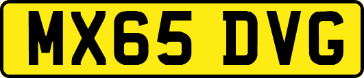 MX65DVG