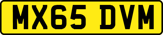 MX65DVM