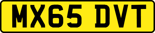 MX65DVT
