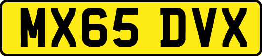 MX65DVX