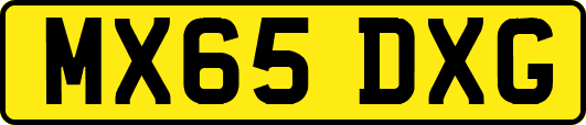 MX65DXG