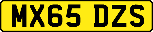 MX65DZS