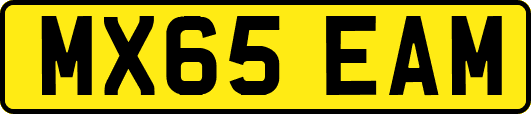 MX65EAM