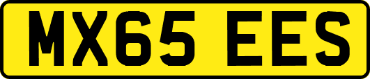 MX65EES