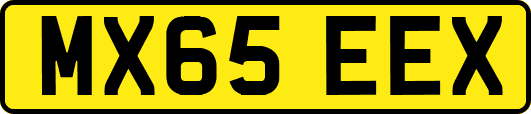 MX65EEX