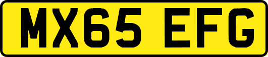 MX65EFG