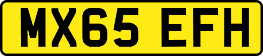 MX65EFH