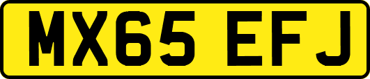 MX65EFJ
