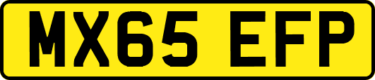 MX65EFP