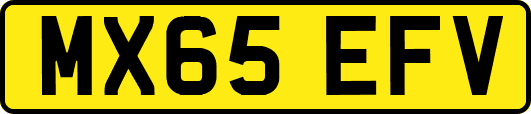 MX65EFV