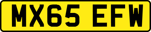 MX65EFW