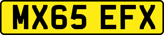 MX65EFX