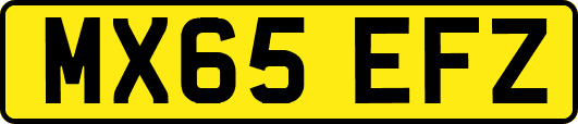 MX65EFZ