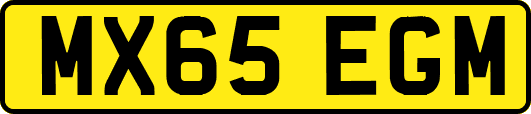 MX65EGM