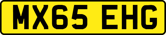 MX65EHG