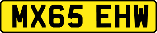 MX65EHW