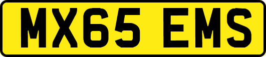 MX65EMS