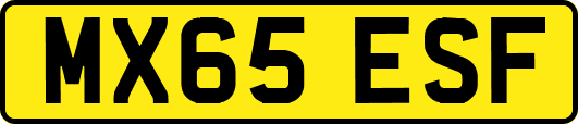 MX65ESF