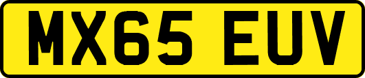 MX65EUV